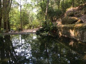 monchique springs algarve