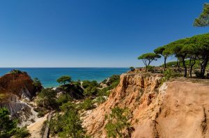 Ocean view from Pine Cliffs